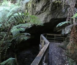 Junee Cave entrance